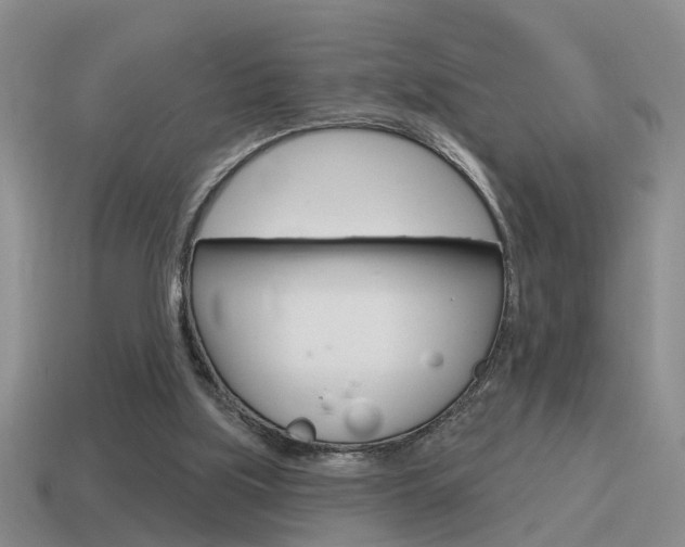 X0000115590059200911100939