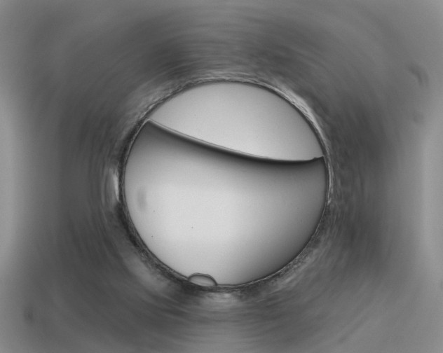 X0000115590061200911100939