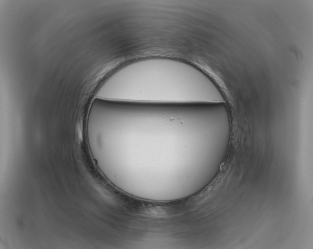 X0000115590062200911100939