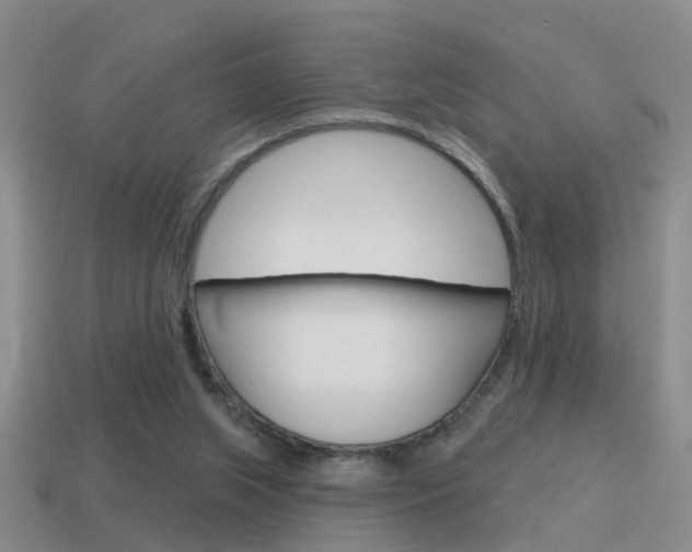 X0000115590063200911100939