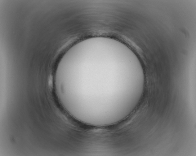 X0000115590067200911100939