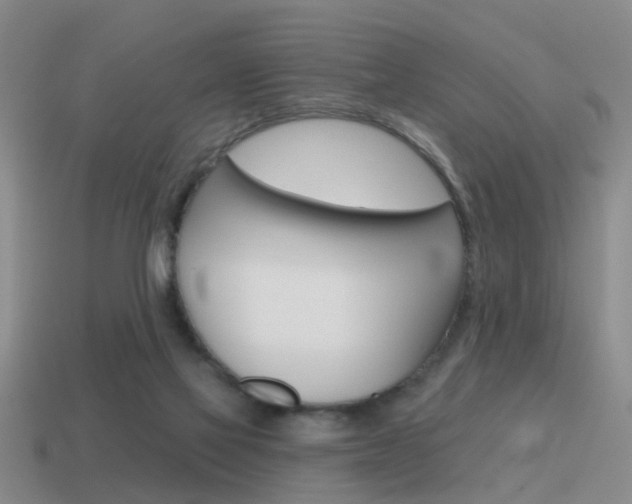 X0000115590069200911100939