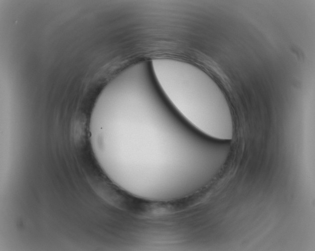 X0000115590073200911100940