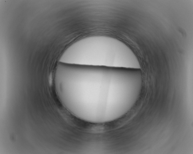 X0000115590075200911100940