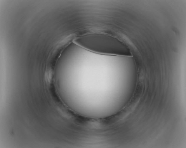 X0000115590076200911100940