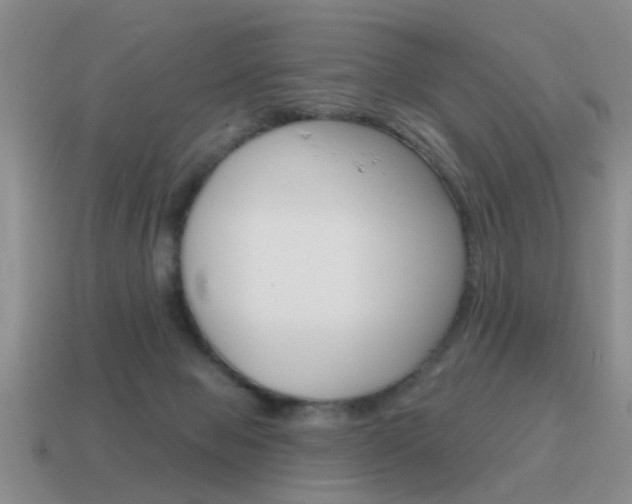 X0000115590077200911100940