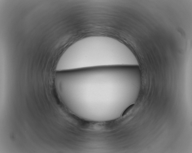 X0000115590078200911100940