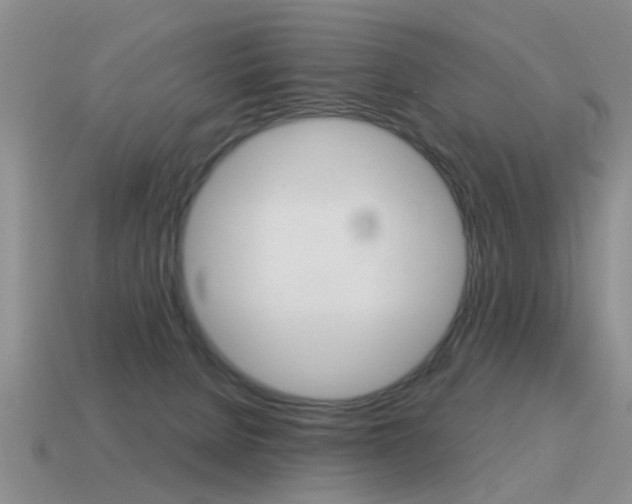 X0000115590080200911100940