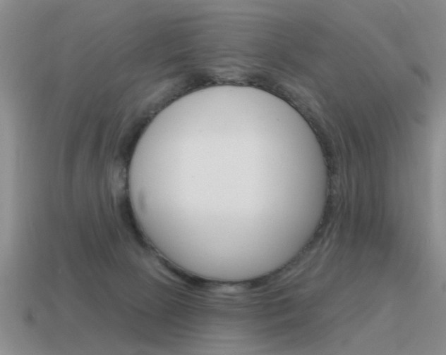 X0000115590081200911100940