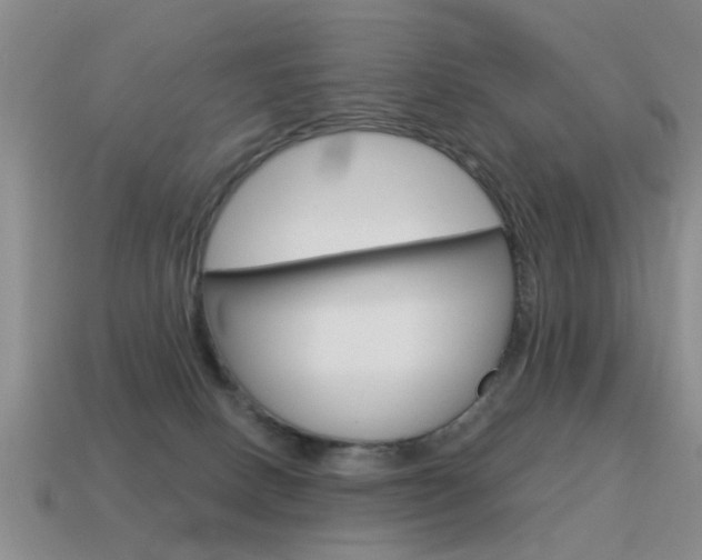 X0000115590082200911100940