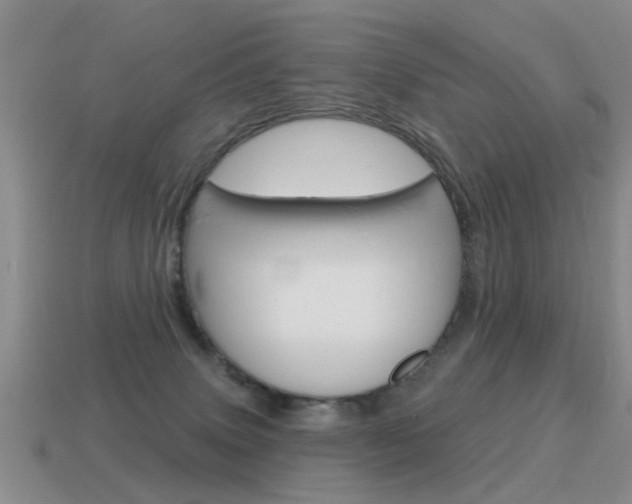 X0000115590083200911100940