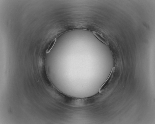 X0000115590084200911100940