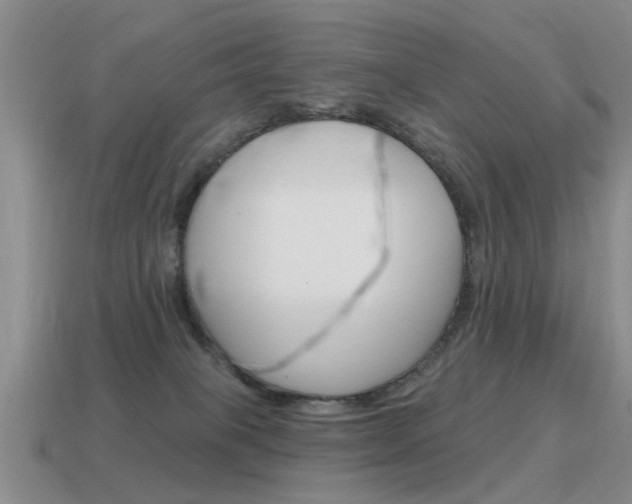 X0000115590085200911100940