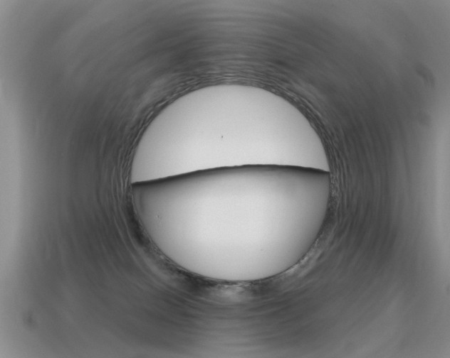 X0000115590086200911100940