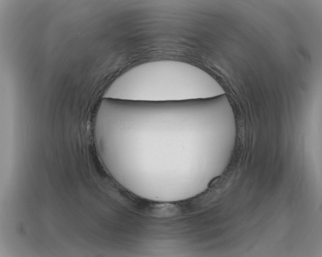 X0000115590087200911100940