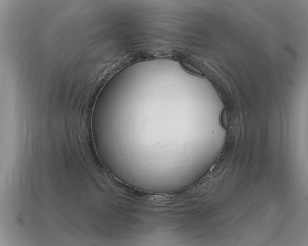 X0000115590088200911100940