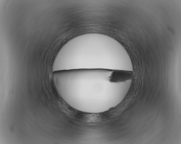 X0000115590089200911100940