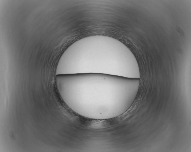 X0000115590090200911100940