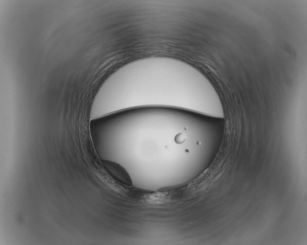 X0000115590092200911100940