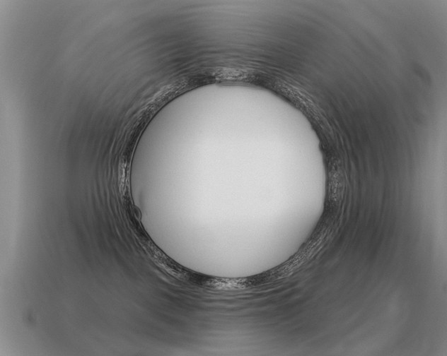 X0000115590093200911100940