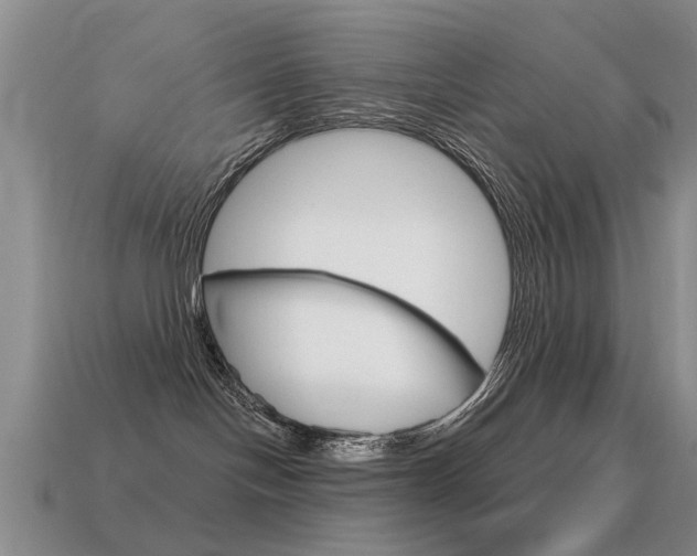 X0000115590094200911100940