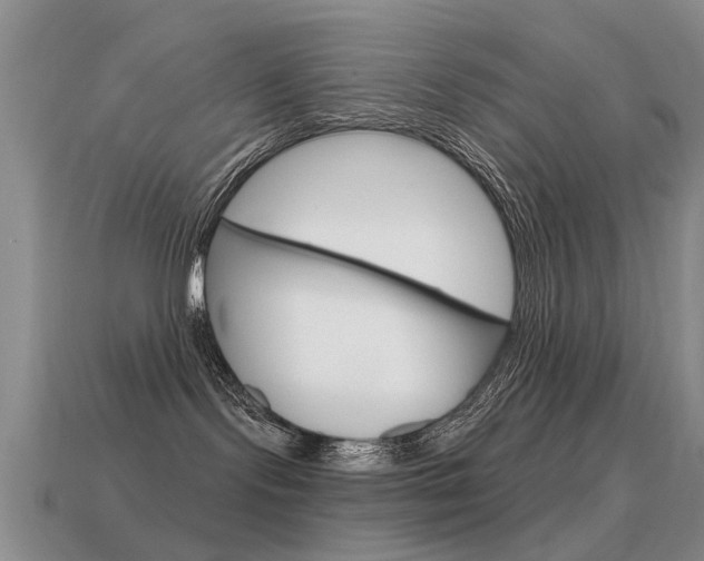 X0000115590095200911100940