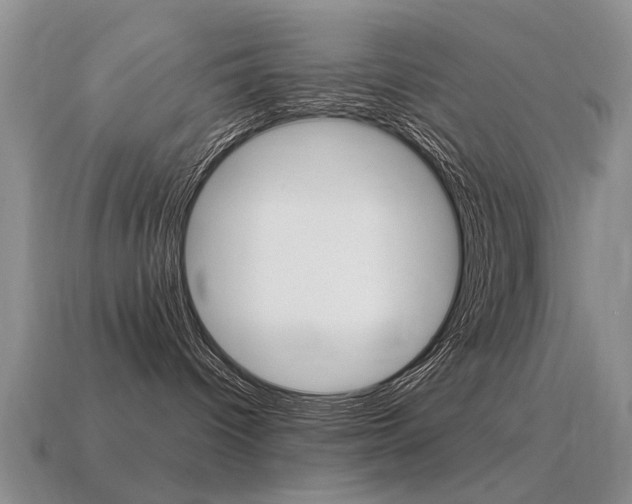 X0000115590096200911100940