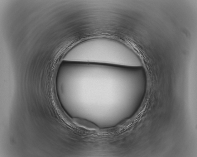 X0000115590097200911100939