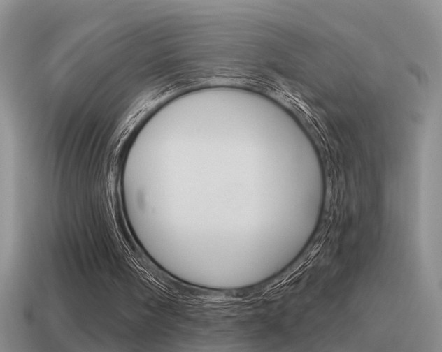 X0000115590098200911100939