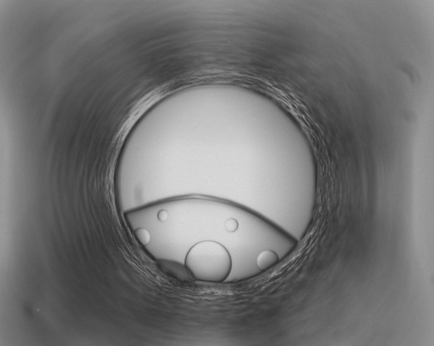 X0000115590099200911100939