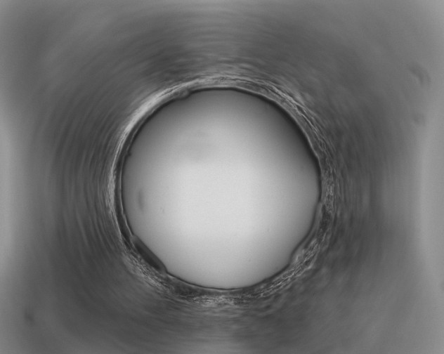 X0000115590100200911100939