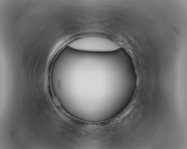 X0000115590101200911100939