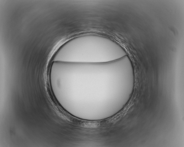 X0000115590102200911100939