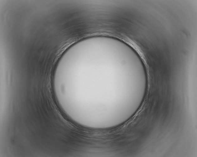 X0000115590105200911100939