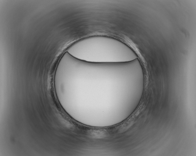 X0000115590106200911100939