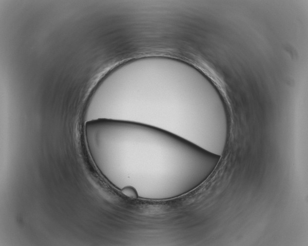 X0000115590107200911100939