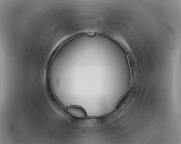 X0000115590108200911100939