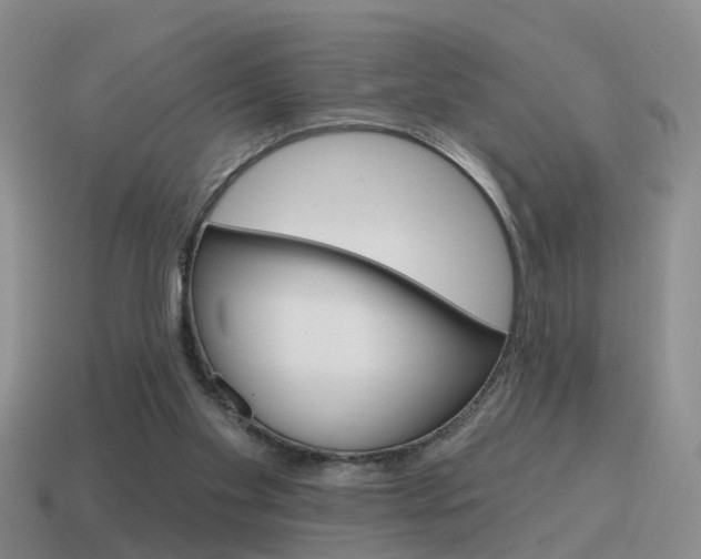 X0000115590109200911100939