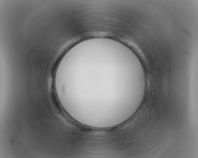 X0000115590110200911100939