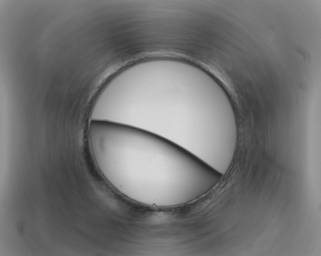 X0000115590111200911100939