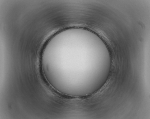 X0000115590112200911100939