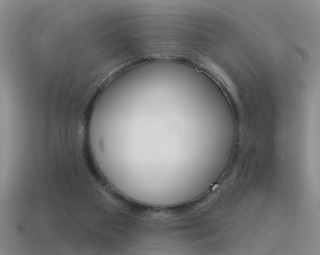 X0000115590113200911100939