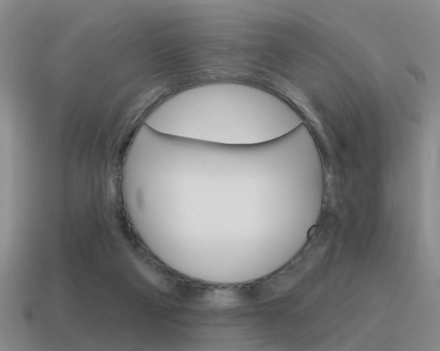 X0000115590114200911100939