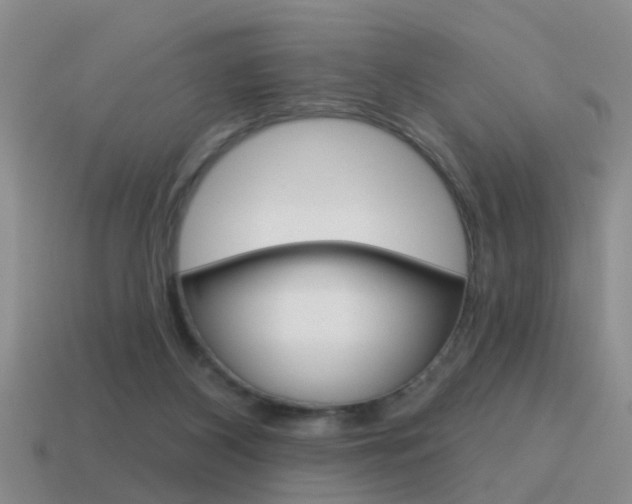 X0000115590116200911100939