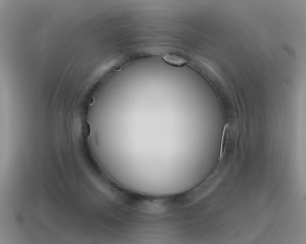 X0000115590120200911100939