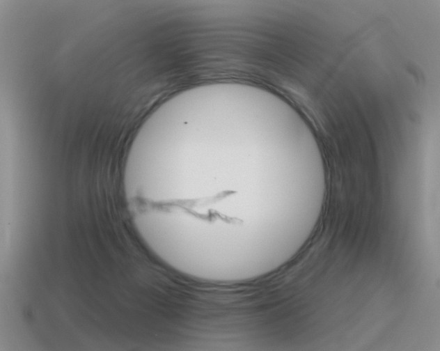 X0000115590121200911100939