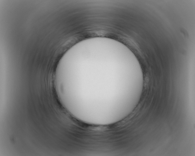 X0000115590122200911100939