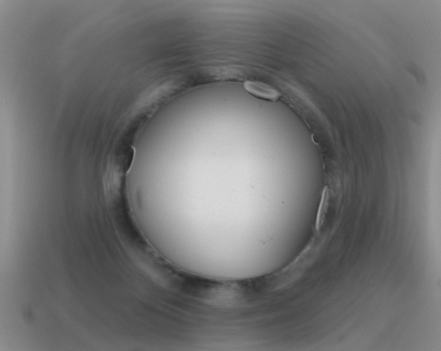 X0000115590124200911100939