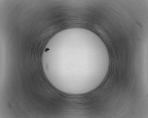 X0000115590125200911100939