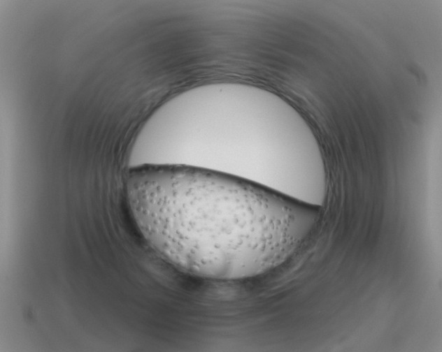 X0000115590127200911100939